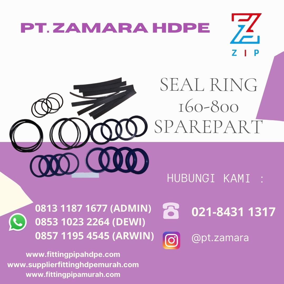 Seal Ring 160-800 Sparepart